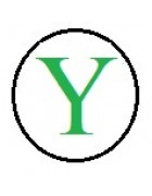 Бусины с буквами разноцветными Y